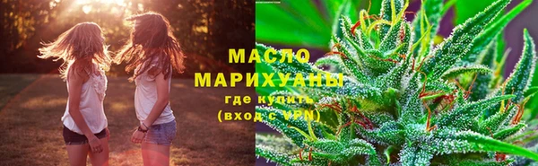 СК Снежногорск