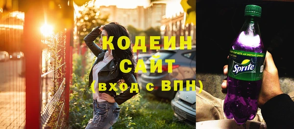 СК Снежногорск